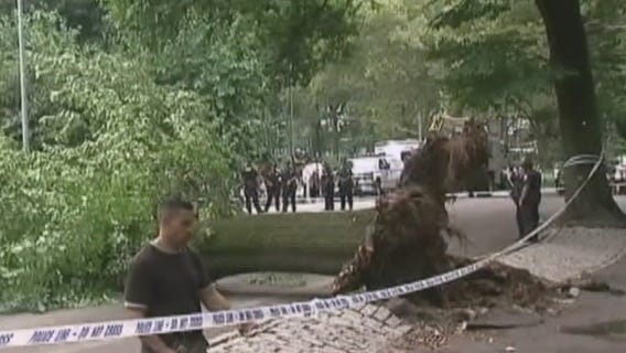 Central Park tree lawsuit
