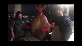 Another Opah fish caught in Ocean City