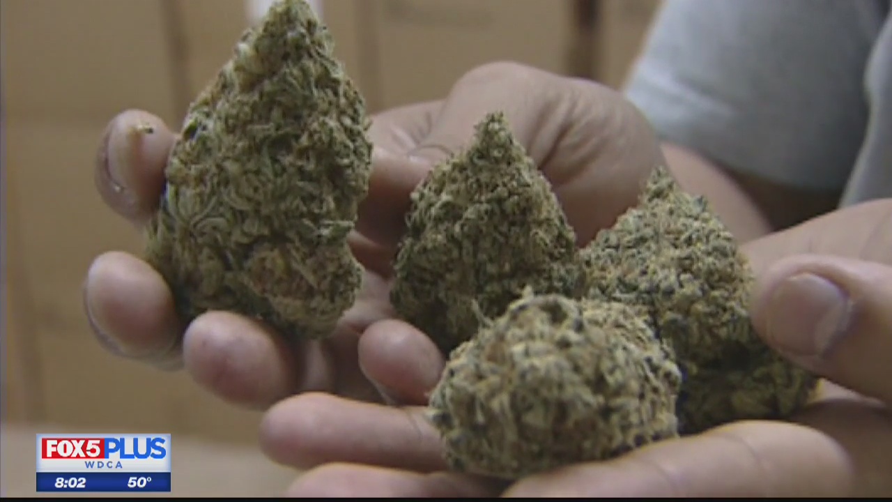 Long lines as Maryland begins selling medical marijuana