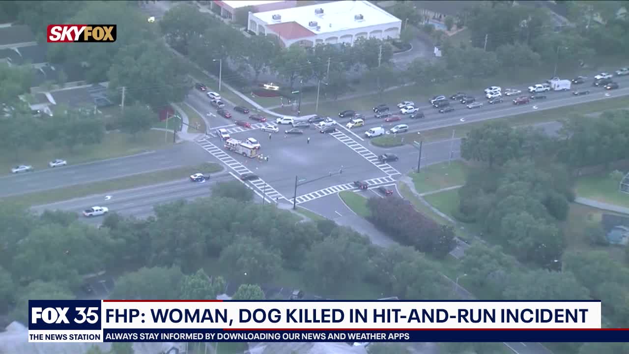 FHP: Woman, dog killed in hit-and-run crash in Kissimmee | FOX 35 Orlando