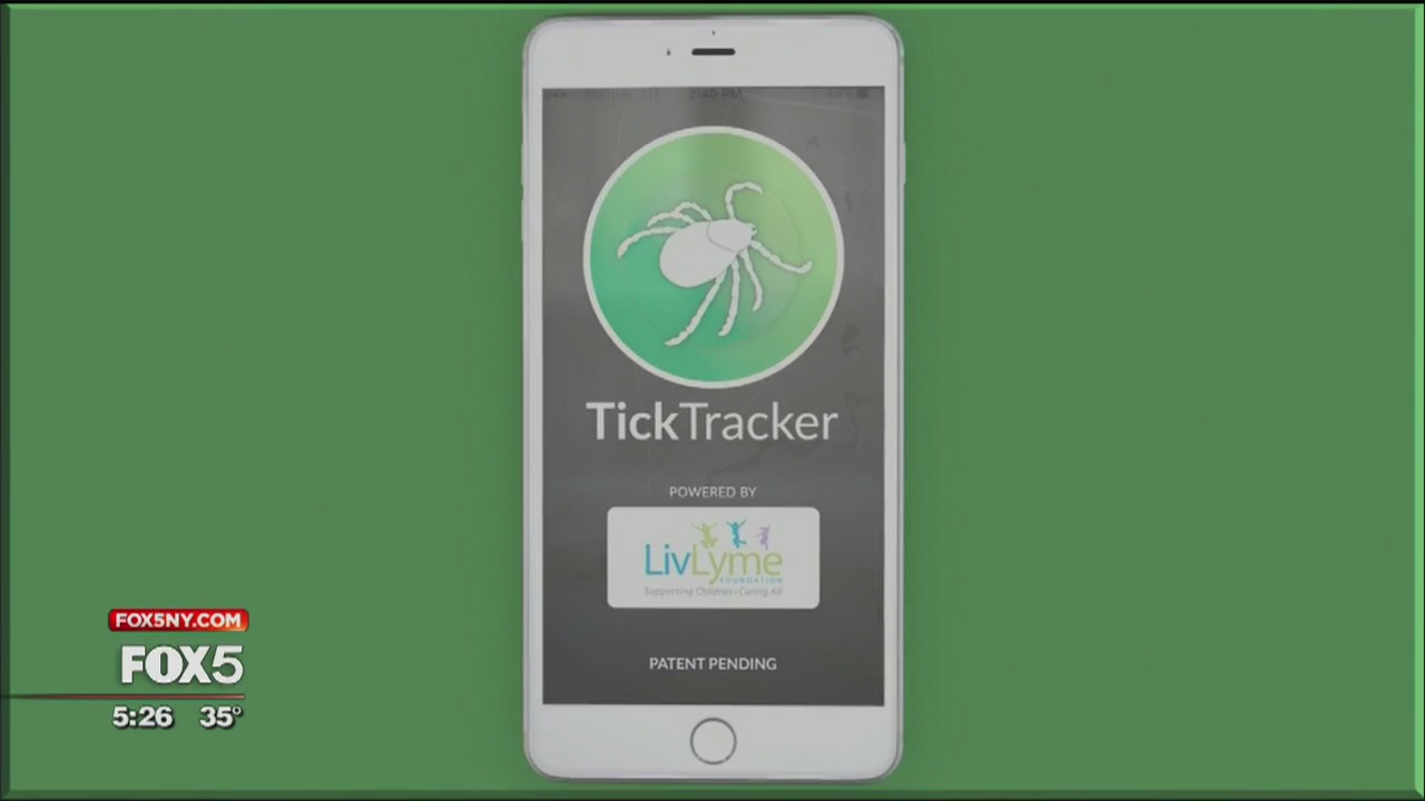 Teen's Lyme disease foundation