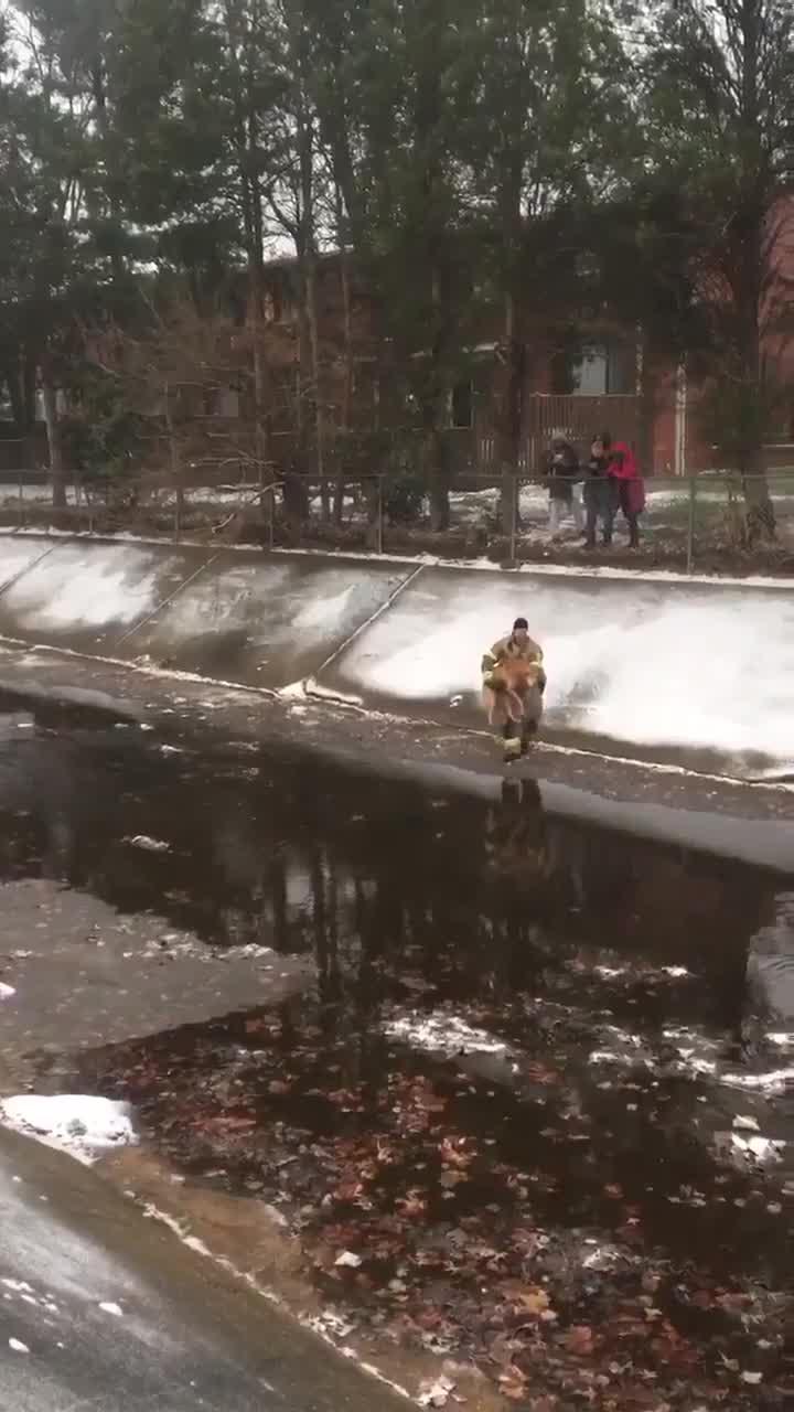 Dog rescued from freezing water in Prince George's County