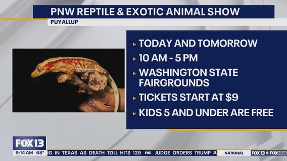 Things to do with the kids this weekend