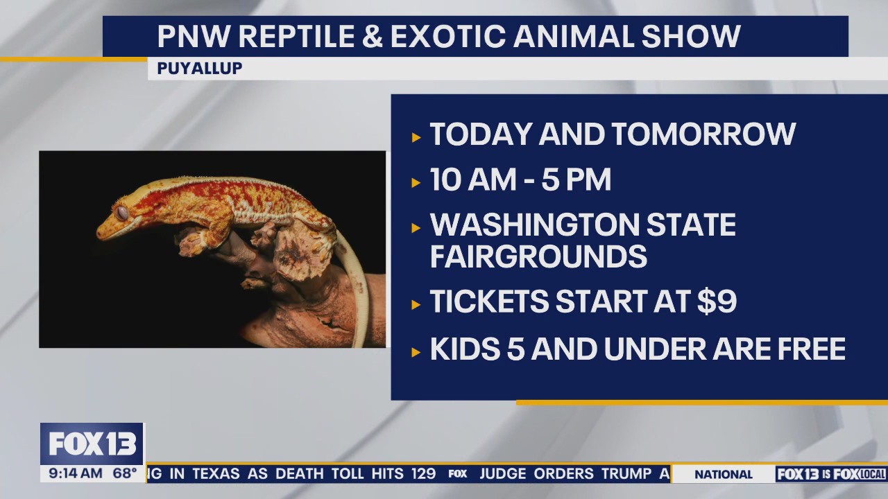 Things to do with the kids this weekend