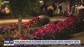 Philadelphia Flower Show is back inside with an electrifying new theme