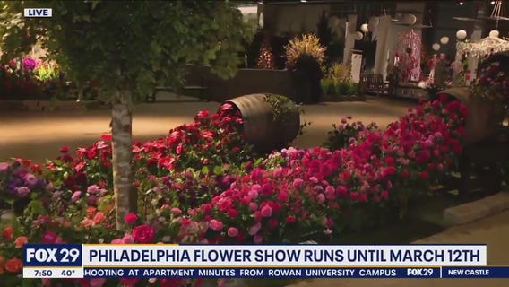 Philadelphia Flower Show is back inside with an electrifying new theme