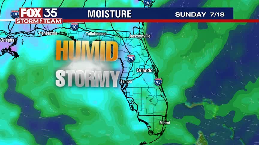 Weather Forecast: July 18