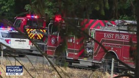 Wrong way driver kills 2 in Puyallup, WA, arrested for DUI