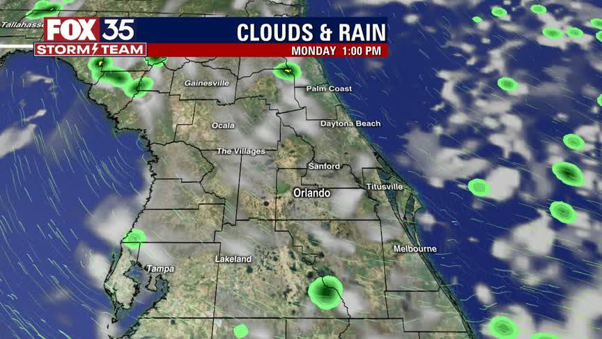 Weather Forecast: July 11