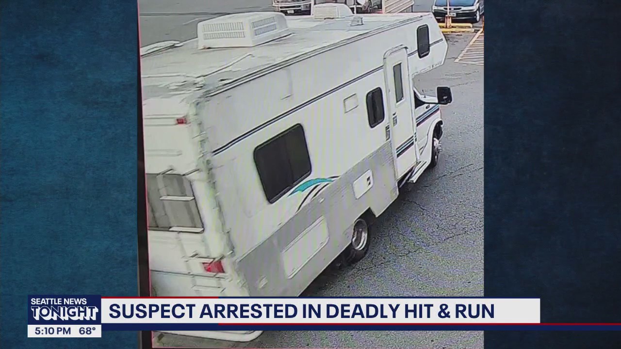 Suspect arrested in deadly Skyway hit-and-run