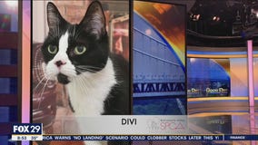 FurEver Home: February 19, 2023