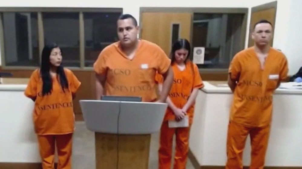 Police arrest 7 'South American Theft Group' members