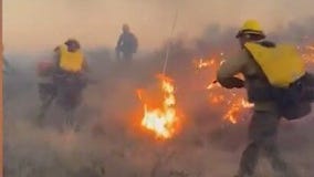 Cody Fire burns 5 homes near Oracle