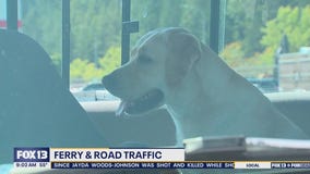 Holiday Traffic: Ferries, Roads expected to be busy Sunday