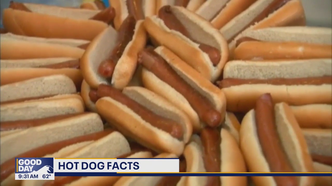 Hot dog facts for the Fourth of July
