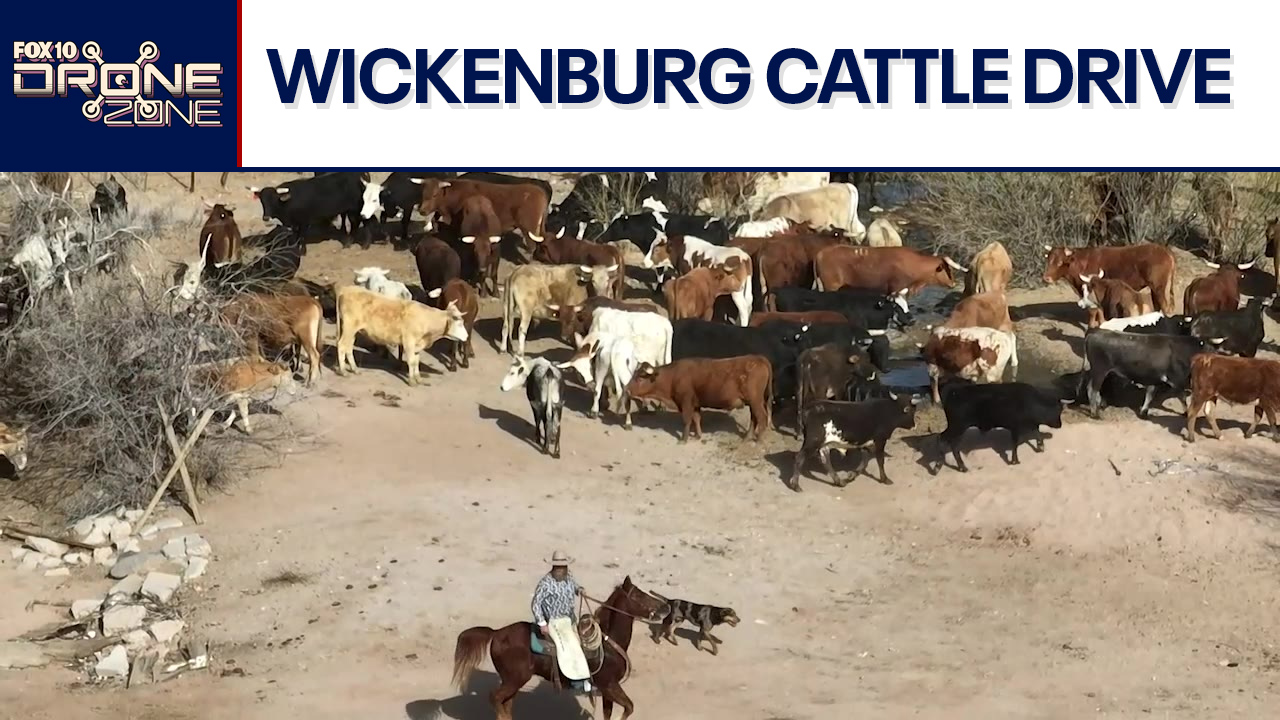 City Slickers | Drone Zone