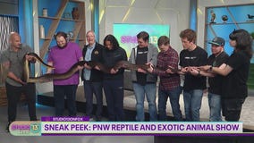 World's longest snake species slithers onto the Studio 13 Live set