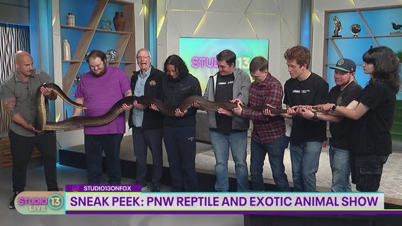 World's longest snake species slithers onto the Studio 13 Live set
