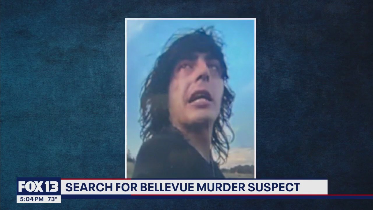 Police searching for Bellevue murder suspect | FOX 13 Seattle