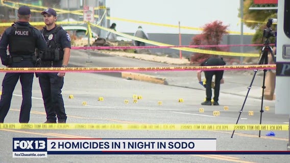 Police investigating pair of deadly South Seattle shootings