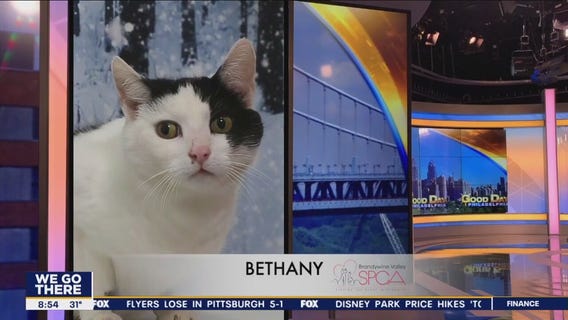 FurEver Home: March 12, 2023