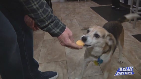 All Natural Treats at Three Dog Bakery