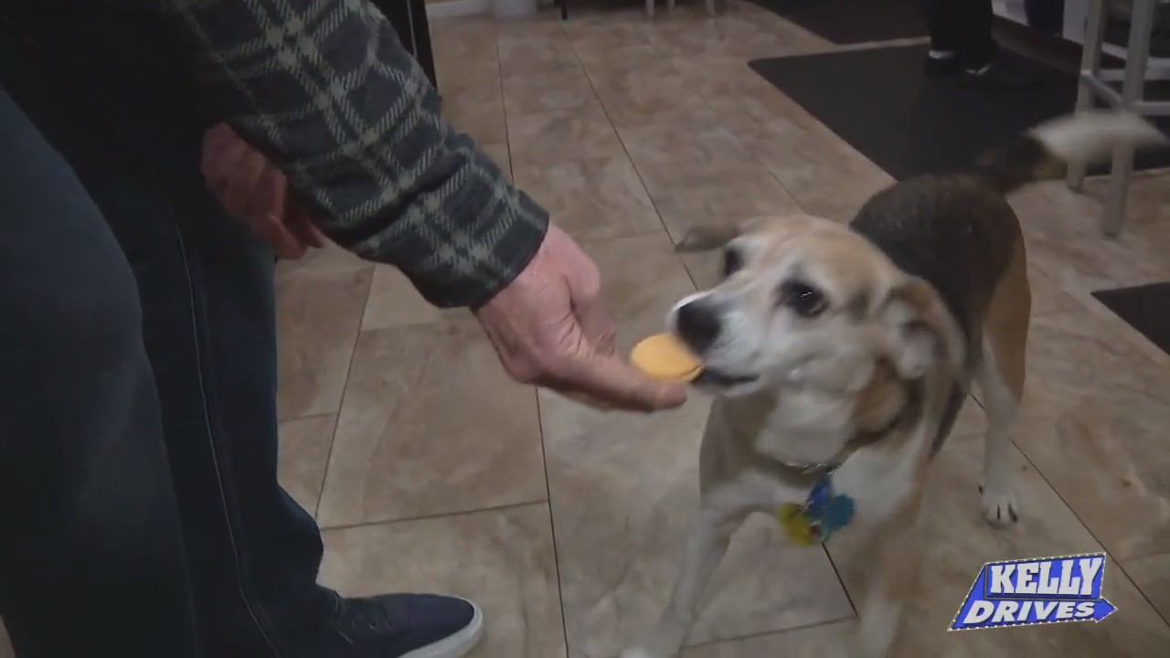 All Natural Treats at Three Dog Bakery
