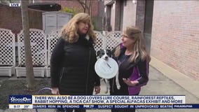 Greater Philadelphia Pet Expo happening this weekend