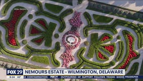 Planning your spring road trip: Hidden gems in Delaware