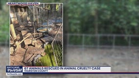 67 animals pulled from Thurston County property