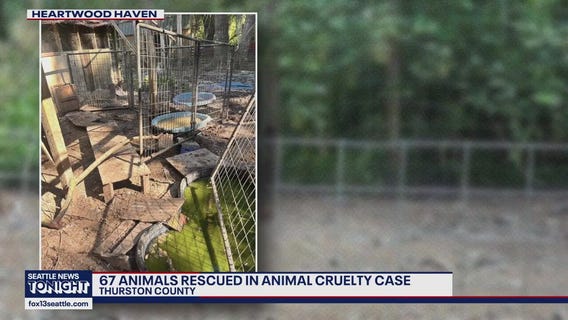 67 animals pulled from Thurston County property