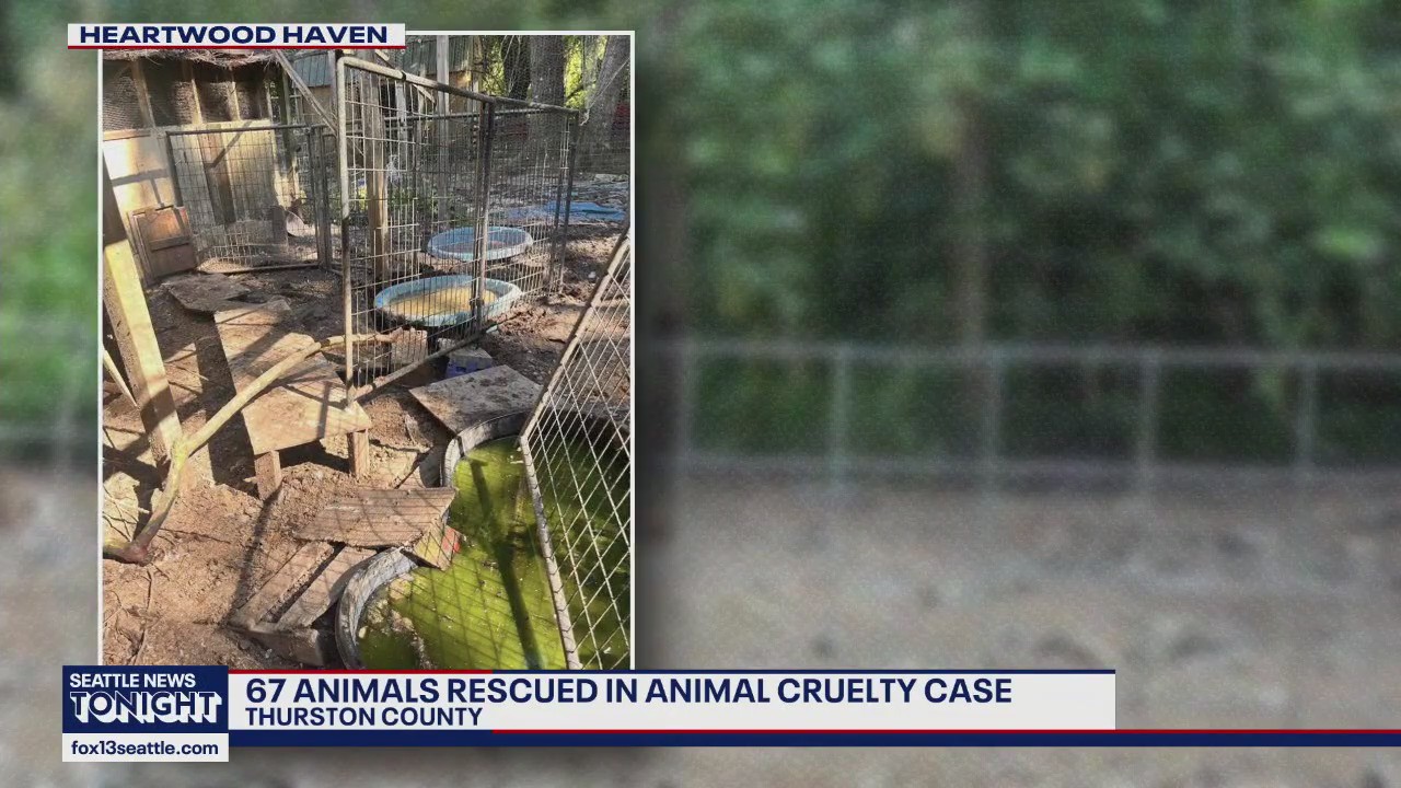 67 animals pulled from Thurston County property