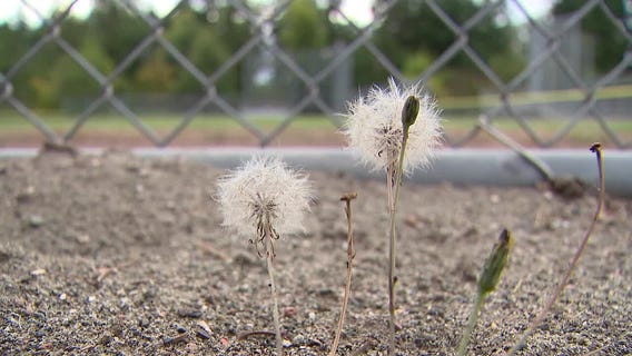 Pierce County youth coach faces child porn charges