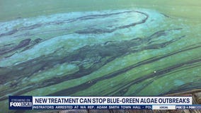 New treatment to stop blue-green algae outbreaks