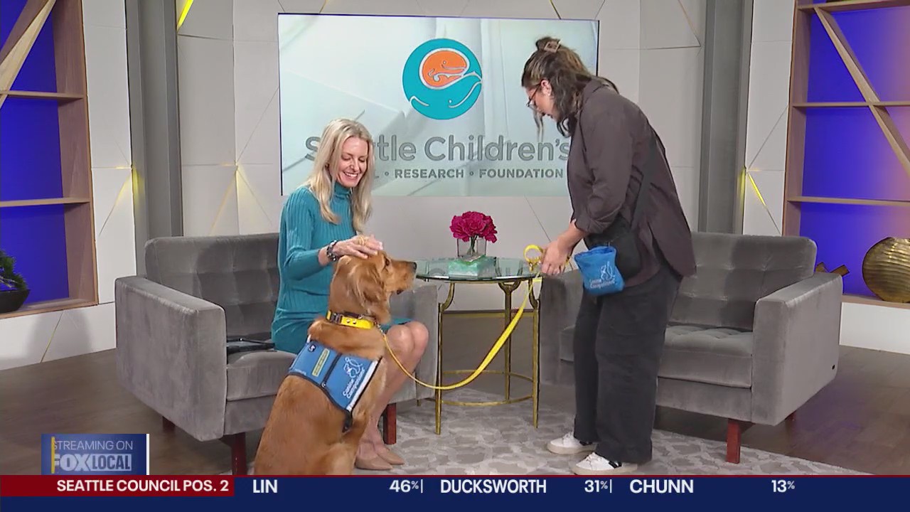 Seattle Children's facility dog Nash stops by Good Day Seattle