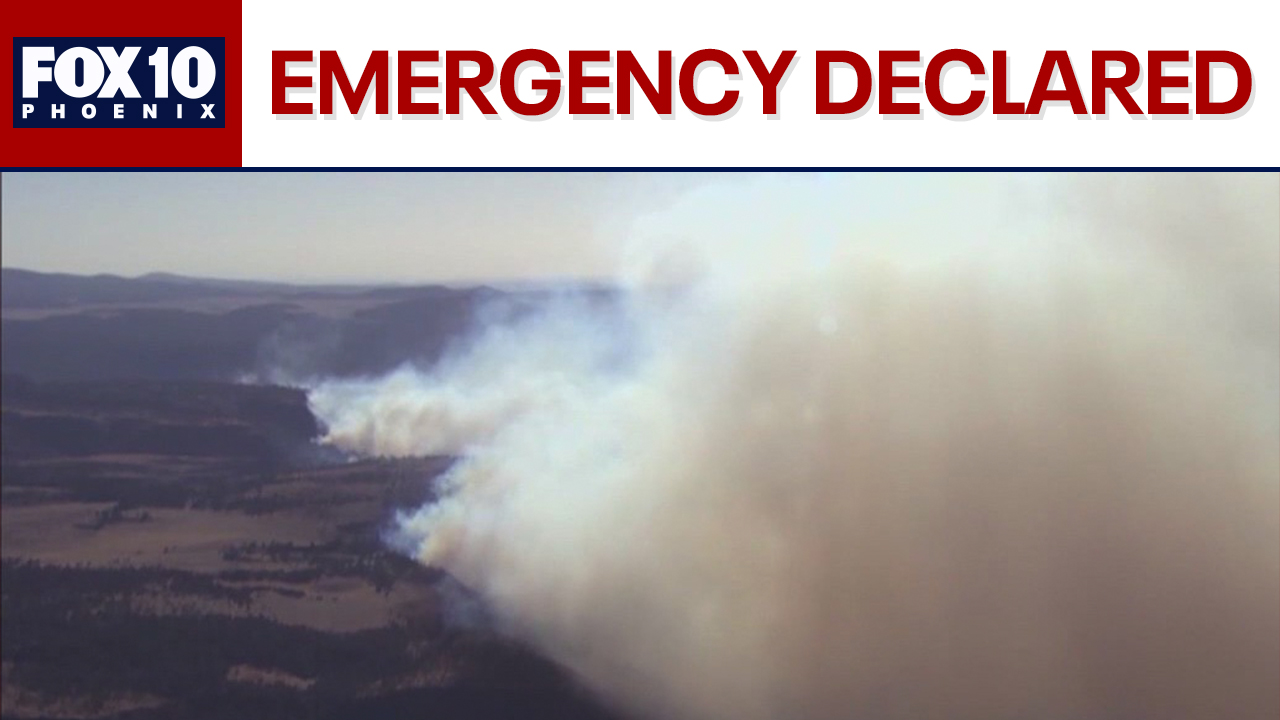 Mayors declare state of emergency for Greer Fire