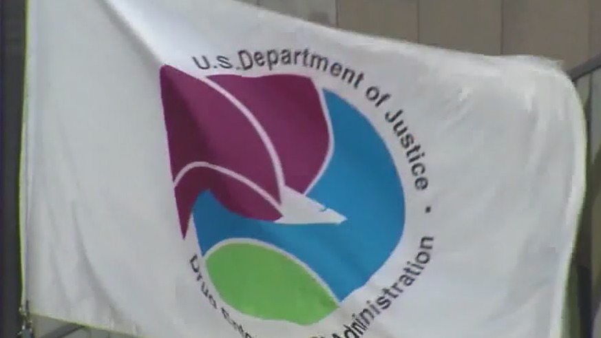 Arizona man arrested for involvement in monkey torture