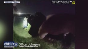 Tacoma police arrest burglary suspect after chase