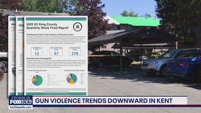 Kent leads King County in reducing gun violence