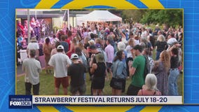 Zip Trips: Strawberry Festival returns on Vashon Island