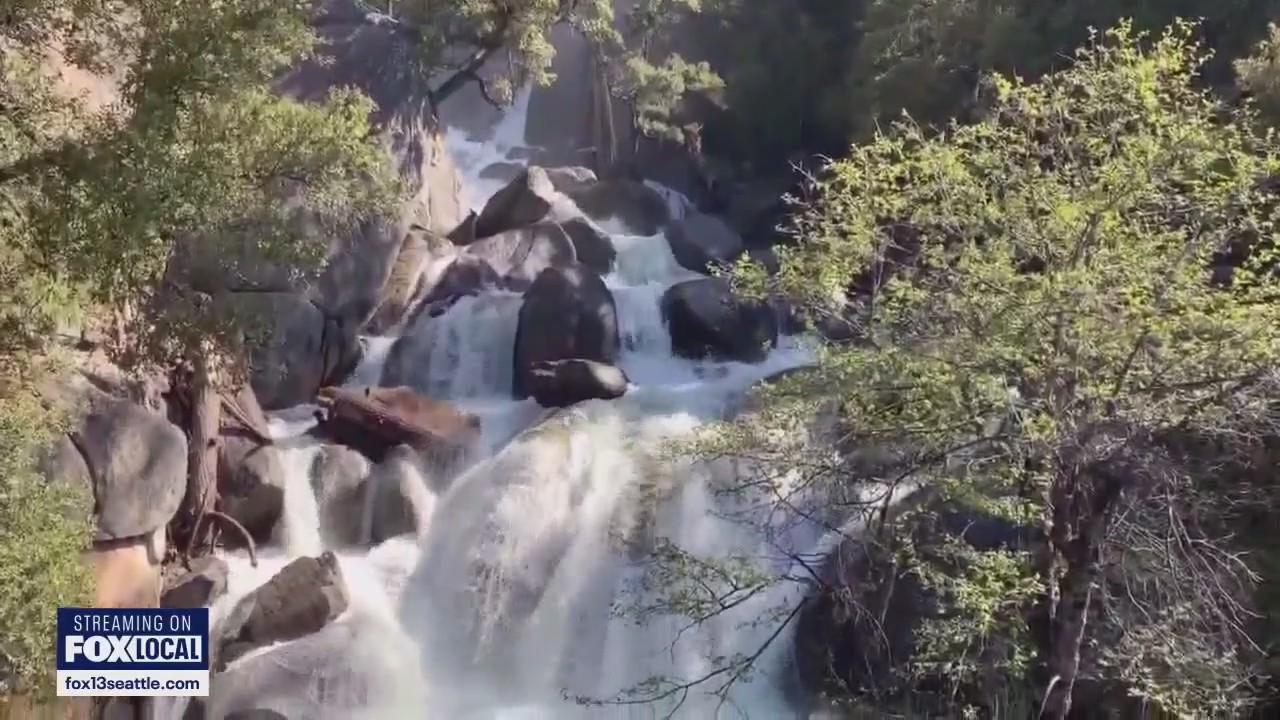 Viral video shows overgrown trails, full toilets at WA's national parks