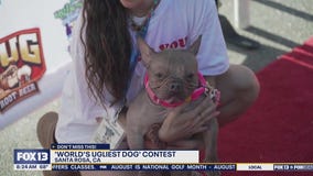 World's Ugliest Dog winner crowned in Santa Rosa, CA