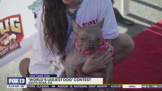 World's Ugliest Dog winner crowned in Santa Rosa, CA