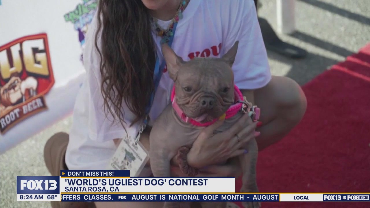 World's Ugliest Dog winner crowned in Santa Rosa, CA
