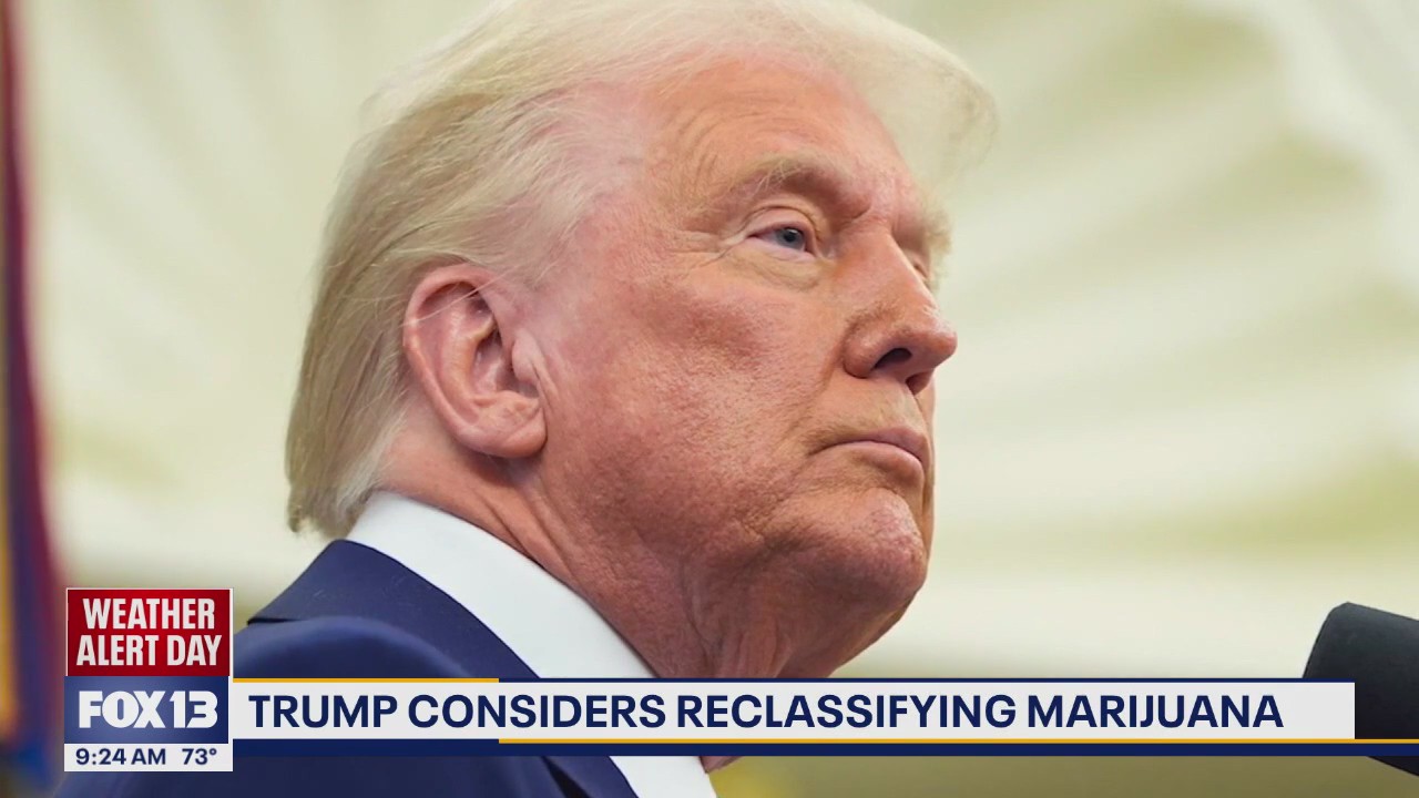 President Trump considers reclassifying marijuana in the US