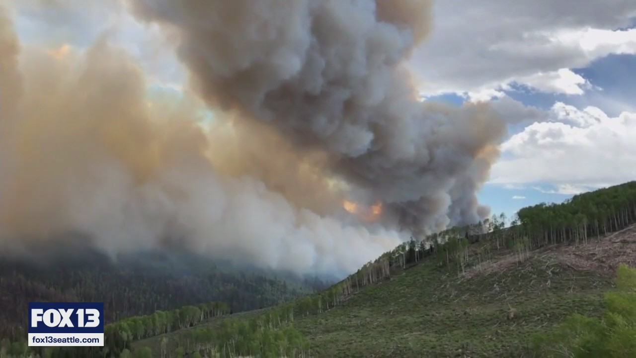 Using drones, AI to fight WA wildfires