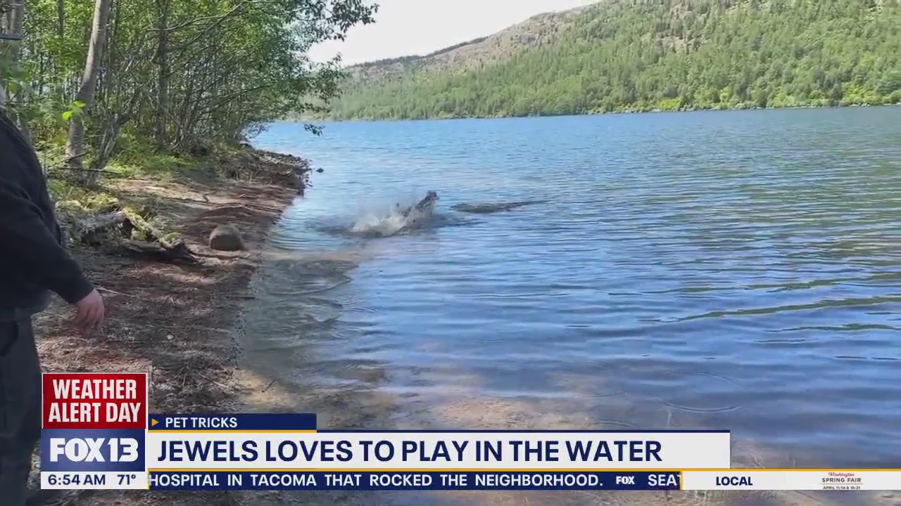 Pet Tricks for Monday, August 11