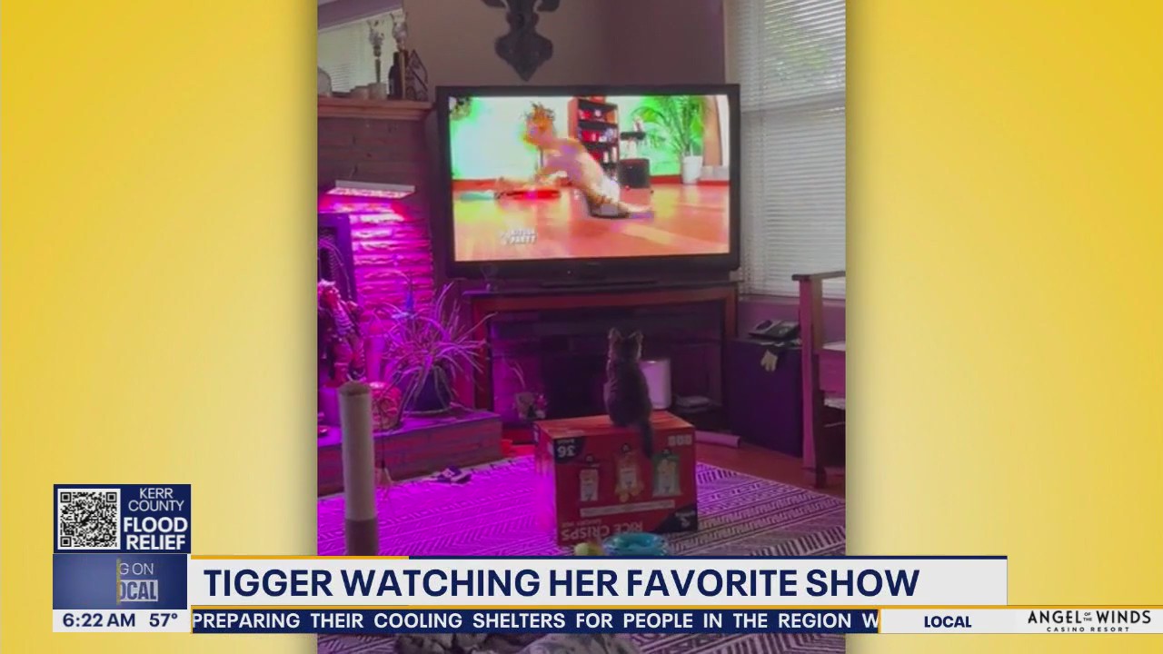 Pet Tricks for Tuesday, July 15