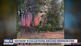 WA Wildfire update: Brinnon, Bear Gulch and Greenacres continue to burn