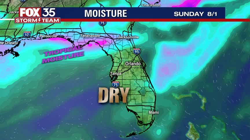 Weather Forecast: July 31